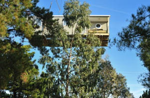 La Pascalinette, le grand camping d’Hyères avec piscine et arbres centenaires